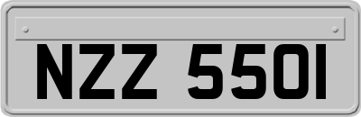 NZZ5501