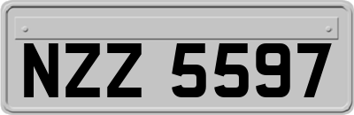 NZZ5597