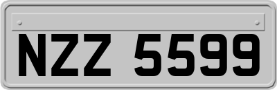 NZZ5599