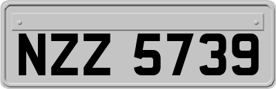 NZZ5739