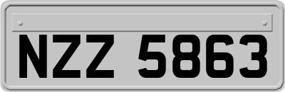 NZZ5863