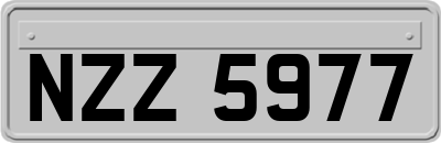 NZZ5977