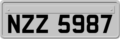 NZZ5987