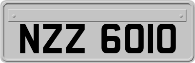 NZZ6010