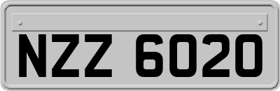 NZZ6020