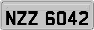 NZZ6042