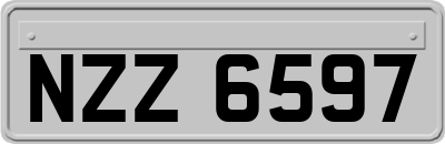 NZZ6597