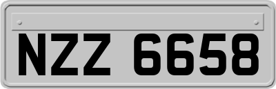 NZZ6658