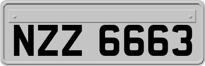 NZZ6663