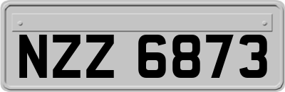 NZZ6873