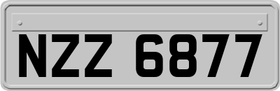 NZZ6877