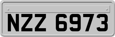 NZZ6973