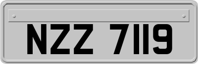 NZZ7119