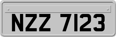 NZZ7123