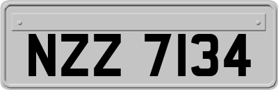 NZZ7134