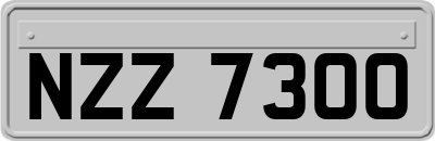 NZZ7300