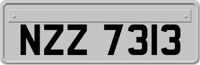 NZZ7313