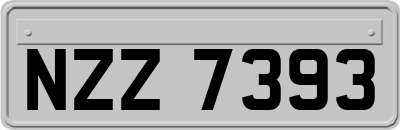NZZ7393