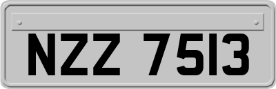 NZZ7513