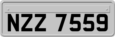 NZZ7559