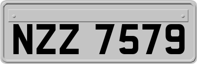 NZZ7579