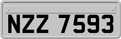 NZZ7593