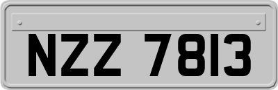 NZZ7813
