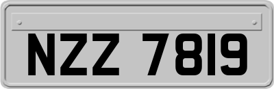 NZZ7819