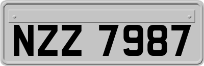 NZZ7987