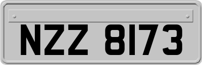 NZZ8173