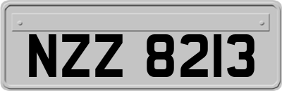NZZ8213