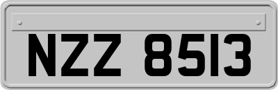 NZZ8513