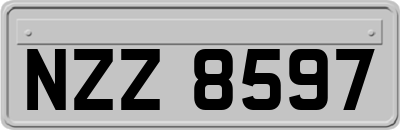 NZZ8597