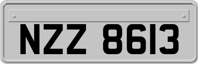 NZZ8613