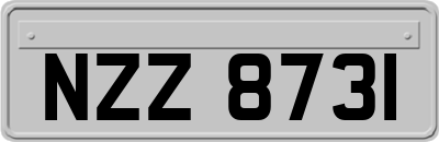 NZZ8731