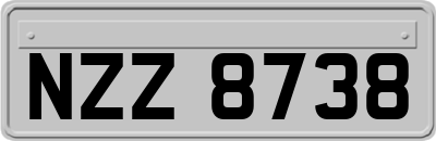 NZZ8738
