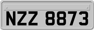 NZZ8873