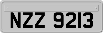 NZZ9213