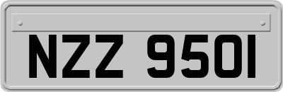 NZZ9501
