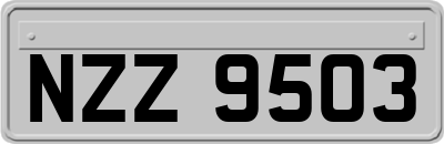 NZZ9503