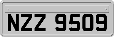 NZZ9509