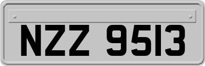 NZZ9513