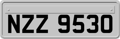 NZZ9530