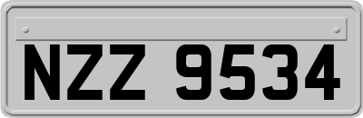 NZZ9534