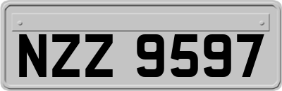 NZZ9597