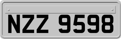 NZZ9598