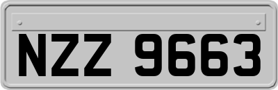 NZZ9663