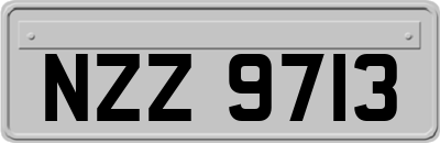 NZZ9713