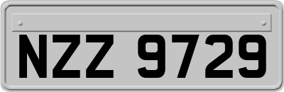 NZZ9729