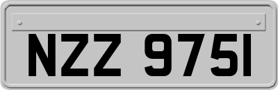 NZZ9751